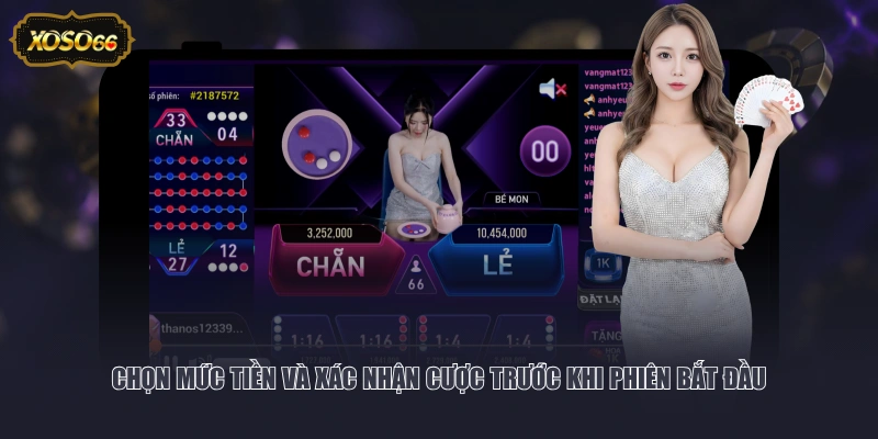 Chọn mức tiền và xác nhận cược trước khi phiên bắt đầu 